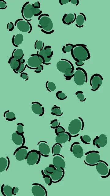 Sea Green leopard phone wallpaper — free HD sea green mobile wallpaper 1080x1920