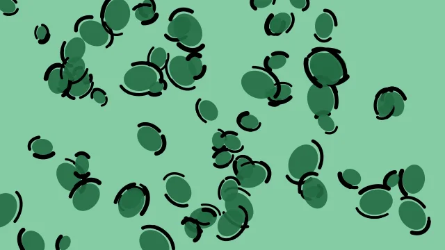 Sea Green leopard print background — free HD sea green color wallpaper 1920x1080