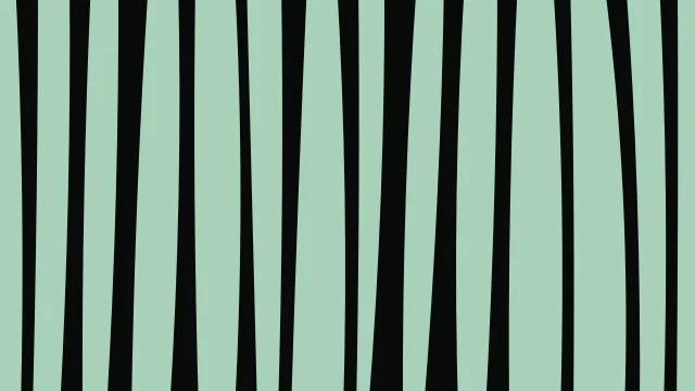 Sea Green zebra print background — free HD sea green color wallpaper 1920x1080