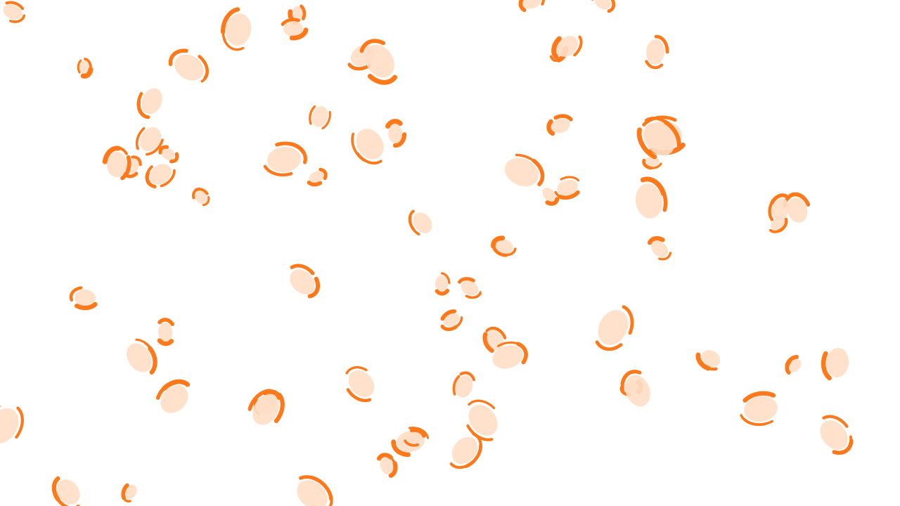 Sea Shell leopard print background — free HD sea shell color wallpaper 1920x1080