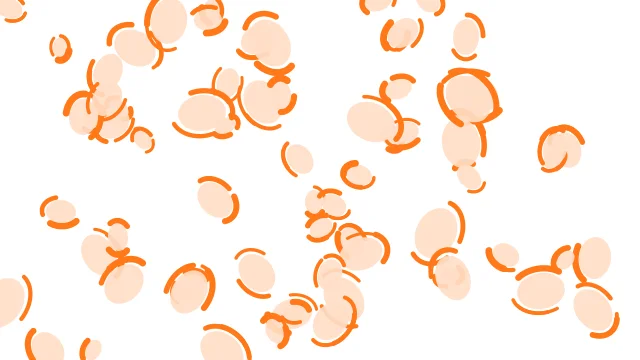 Sea Shell leopard print background — free HD sea shell color wallpaper 1920x1080