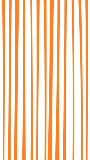 Sea Shell zebra phone wallpaper — free HD sea shell mobile wallpaper 1080x1920