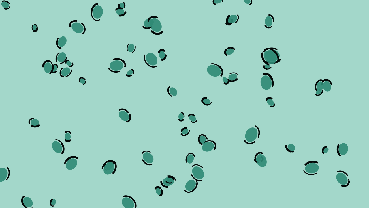 Seagrass leopard print background — free HD seagrass color wallpaper 1920x1080