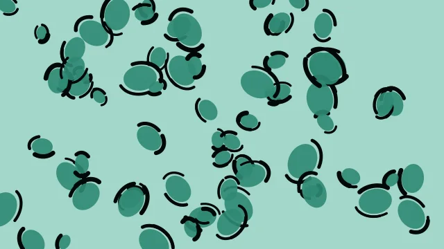 Seagrass leopard print background — free HD seagrass color wallpaper 1920x1080