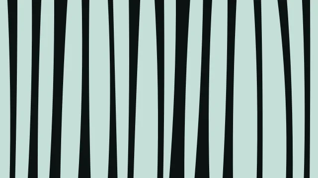 Seagrass zebra print background — free HD seagrass color wallpaper 1920x1080