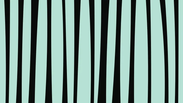 Seaweed zebra desktop wallpaper — free 4K seaweed wallpaper 3840x2160