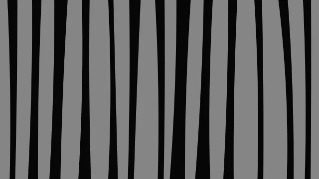 Shadow Grey zebra desktop wallpaper — free 4K shadow grey wallpaper 3840x2160