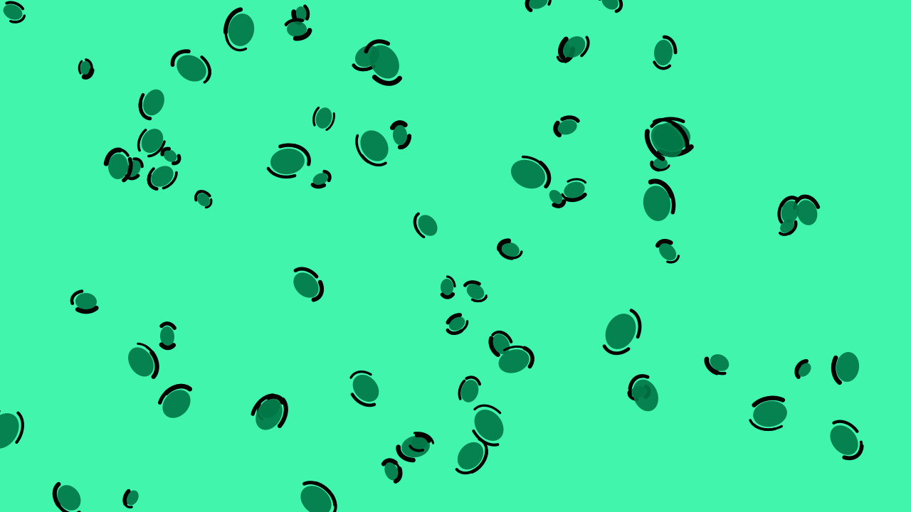 Shamrock leopard print background — free HD shamrock color wallpaper 1920x1080