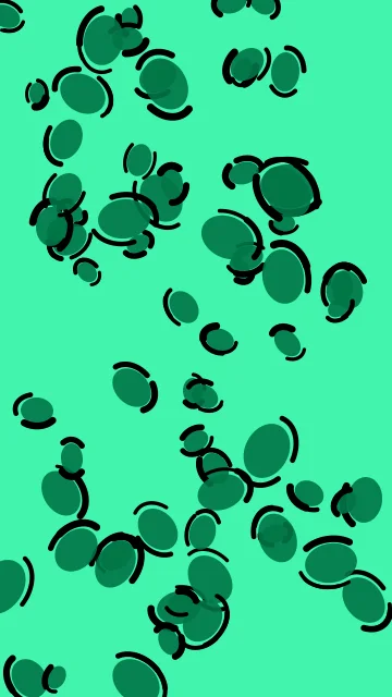 Shamrock leopard phone wallpaper — free HD shamrock mobile wallpaper 1080x1920