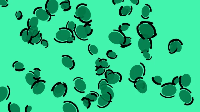 Shamrock leopard desktop wallpaper — free 4K shamrock wallpaper 3840x2160