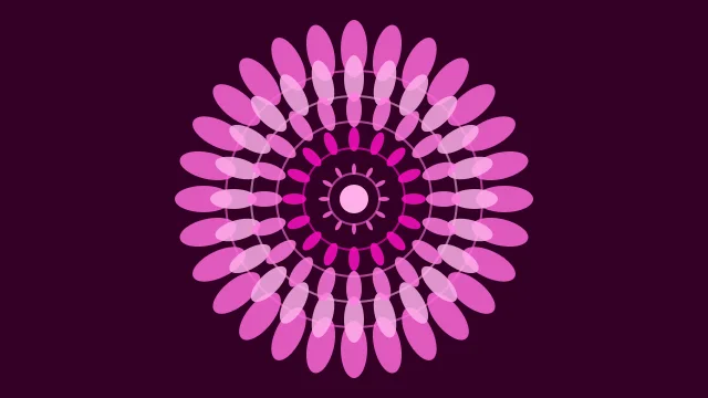 Shocking Pink mandala background — free HD shocking pink color wallpaper 1920x1080