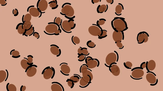 Sienna leopard desktop wallpaper — free 4K sienna wallpaper 3840x2160