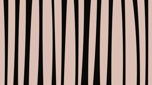 Sienna zebra desktop wallpaper — free 4K sienna wallpaper 3840x2160