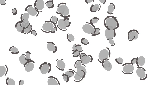 Silver leopard print background — free HD silver color wallpaper 1920x1080