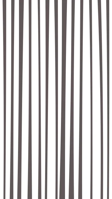 Silver zebra phone wallpaper — free HD silver mobile wallpaper 1080x1920