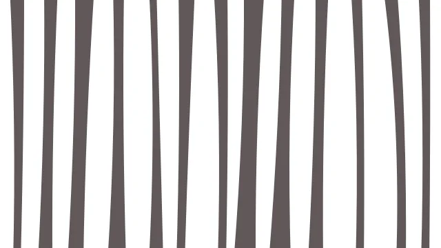 Silver zebra print background — free HD silver color wallpaper 1920x1080