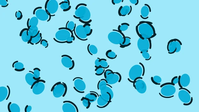 Sky Aqua leopard print background — free HD sky aqua color wallpaper 1920x1080