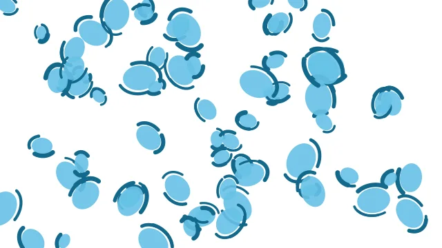 Sky Blue leopard desktop wallpaper — free 4K sky blue wallpaper 3840x2160