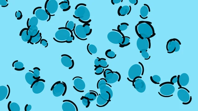 Sky Surge leopard print background — free HD sky surge color wallpaper 1920x1080