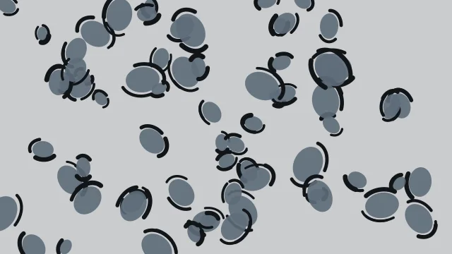 Slate Gray leopard print background — free HD slate gray color wallpaper 1920x1080