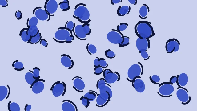 Slate Indigo leopard print background — free HD slate indigo color wallpaper 1920x1080