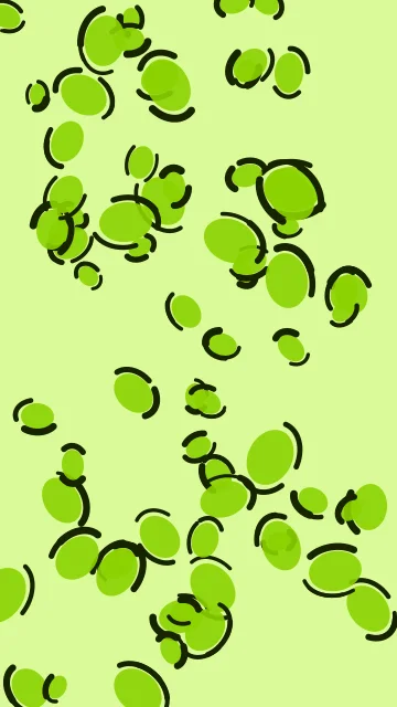 Slime Lime leopard phone wallpaper — free HD slime lime mobile wallpaper 1080x1920