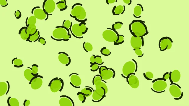 Slime Lime leopard print background — free HD slime lime color wallpaper 1920x1080
