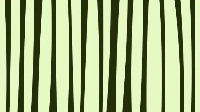 Slime Lime zebra print background — free HD slime lime color wallpaper 1920x1080