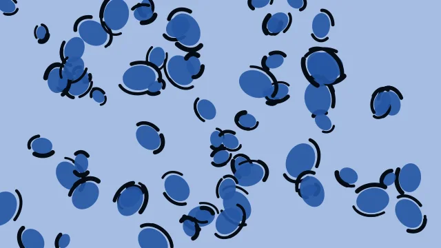 Smart Blue leopard print background — free HD smart blue color wallpaper 1920x1080