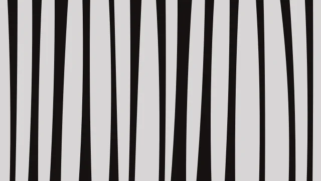 Smoky Rose zebra desktop wallpaper — free 4K smoky rose wallpaper 3840x2160