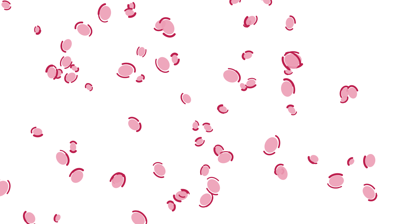 Soft Blossom leopard print background — free HD soft blossom color wallpaper 1920x1080