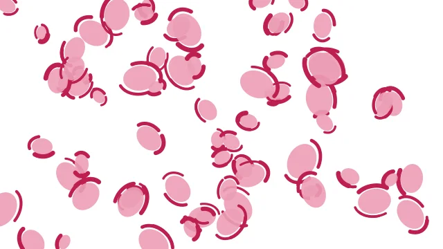 Soft Blossom leopard print background — free HD soft blossom color wallpaper 1920x1080