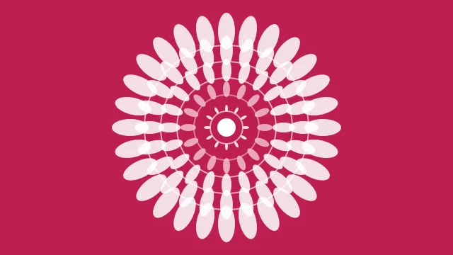 Soft Blossom mandala background — free HD soft blossom color wallpaper 1920x1080