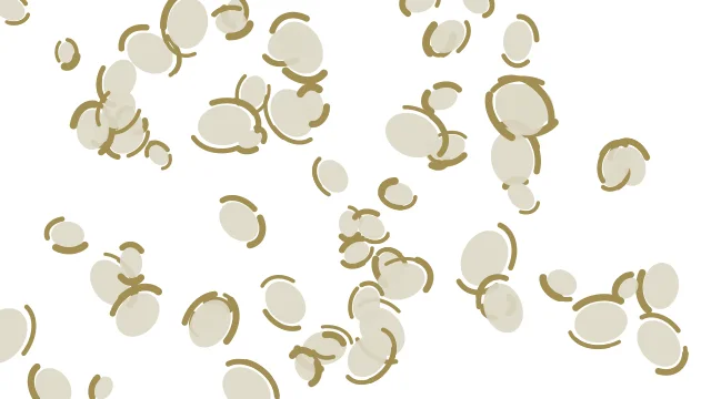 Soft Linen leopard print background — free HD soft linen color wallpaper 1920x1080