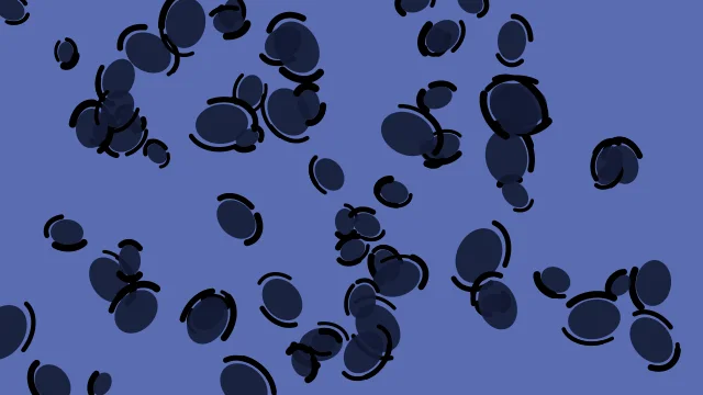 Space Indigo leopard print background — free HD space indigo color wallpaper 1920x1080