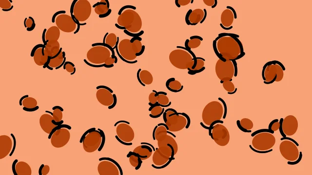 Spicy Orange leopard print background — free HD spicy orange color wallpaper 1920x1080