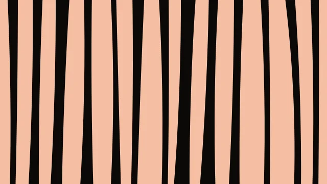 Spicy Orange zebra print background — free HD spicy orange color wallpaper 1920x1080