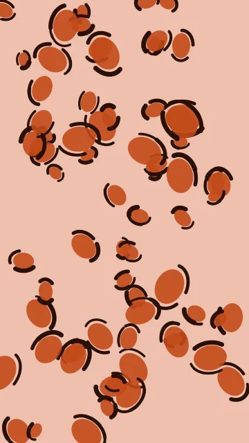 Spicy Paprika leopard phone wallpaper — free HD spicy paprika mobile wallpaper 1080x1920