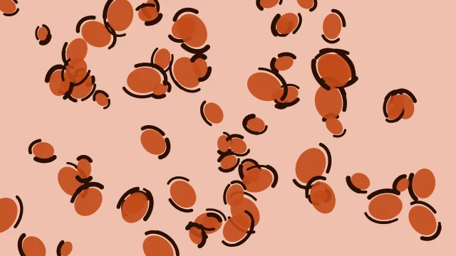 Spicy Paprika leopard print background — free HD spicy paprika color wallpaper 1920x1080