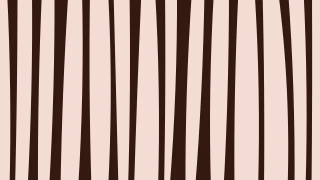Spicy Paprika zebra print background — free HD spicy paprika color wallpaper 1920x1080