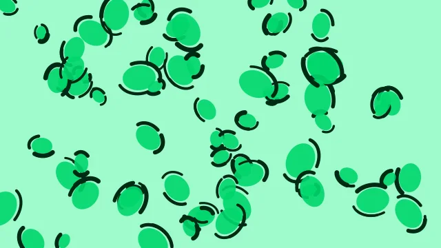 Spring Green leopard print background — free HD spring green color wallpaper 1920x1080