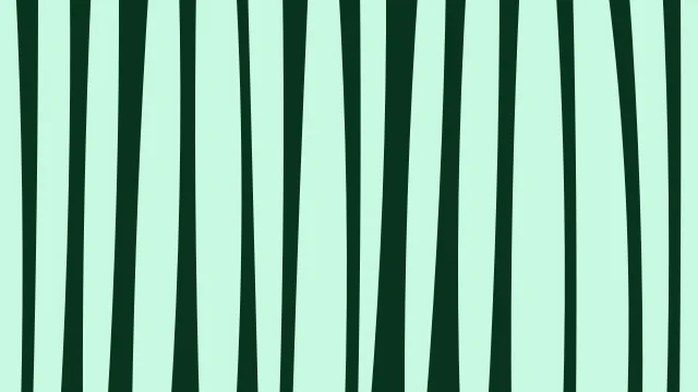 Spring Green zebra print background — free HD spring green color wallpaper 1920x1080