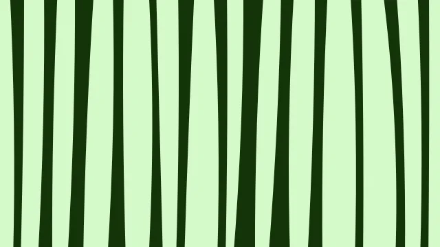 Spring Laser zebra print background — free HD spring laser color wallpaper 1920x1080
