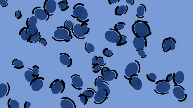 Steel Azure leopard print background — free HD steel azure color wallpaper 1920x1080