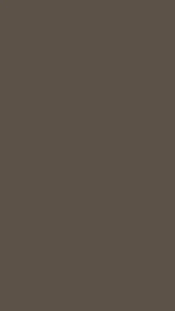 Stone Brown solid phone wallpaper — free HD stone brown mobile wallpaper 1080x1920