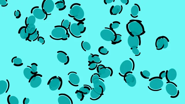 Strong Cyan leopard print background — free HD strong cyan color wallpaper 1920x1080