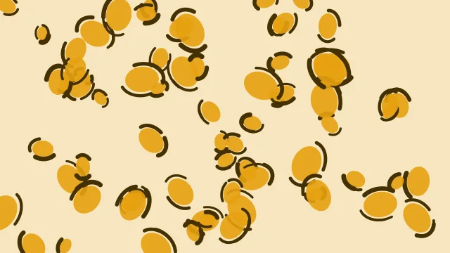 Sunflower Gold leopard print background — free HD sunflower gold color wallpaper 1920x1080