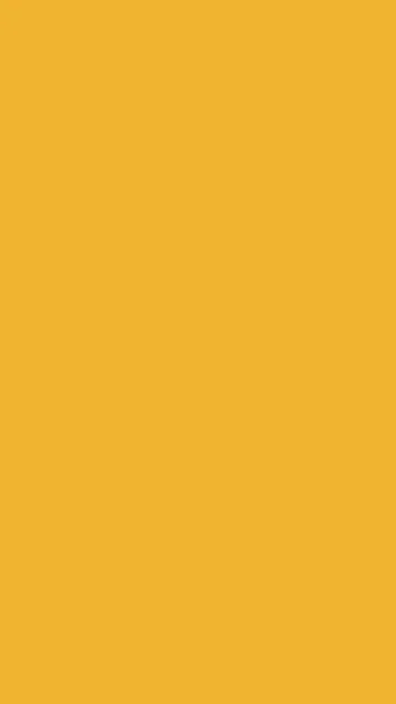 Sunflower Gold solid phone wallpaper — free HD sunflower gold mobile wallpaper 1080x1920