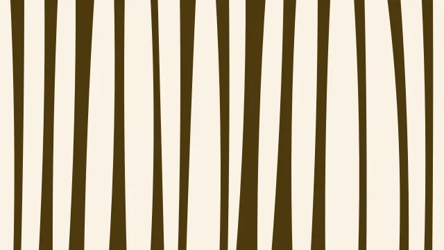 Sunflower Gold zebra print background — free HD sunflower gold color wallpaper 1920x1080