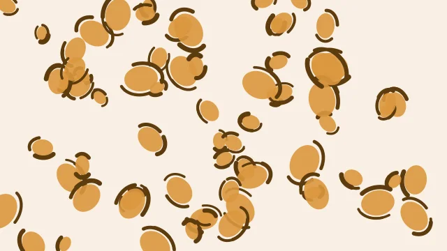 Sunlit Clay leopard print background — free HD sunlit clay color wallpaper 1920x1080